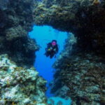 Cozumel: Two reef dives in Marine Park, certified divers - Detailed Tour Breakdown