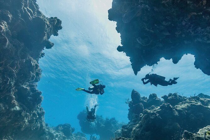 Cozumel underwater 2 Tank Dive by boat - Practical Details and Tips