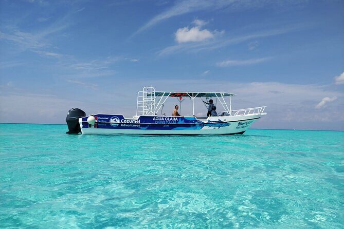 Cozumel Underwater Wonders: El Cielo Sandbar & Reef Snorkeling - Who Should Consider This Tour?