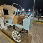 Cozumel's Heart Electric and Horse-drawn Carriage Tour - Authenticity and Local Flavor