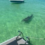 Crab Island Party!! Lily Pad, Paddleboard, Speaker & Cooler - The Pricing and Value