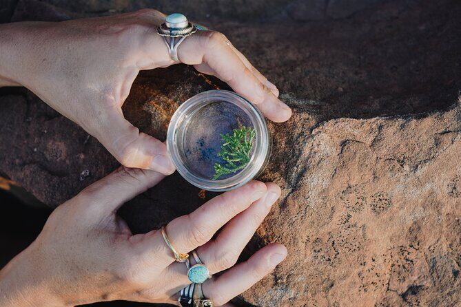 Create Energetic Flower Essences and Reconnect with Nature - The Experience’s Drawbacks