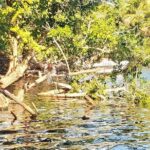 Croc´s & Turtle Aquarium - What the Reviews Say