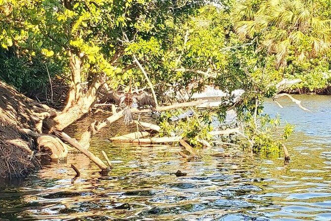 Croc´s & Turtle Aquarium - What the Reviews Say