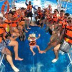 Crystal Boat Tour with Snorkeling and Drinks in Cozumel - Practical Details and Considerations