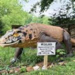 Crystal Cave Dino Trail - Why This Trail Is a Great Value