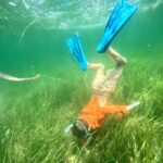 Crystal River: All Inclusive Premier Scalloping Tour - Practical Details