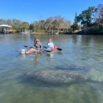 Crystal River: Clear Kayak Manatee Tour w/Free Photo Package - The Itinerary and What to Expect
