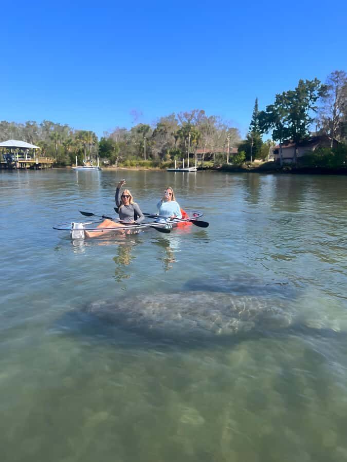 Crystal River: Clear Kayak Manatee Tour w/Free Photo Package - The Itinerary and What to Expect