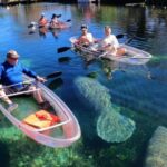 Crystal River: Clear Kayak Sunset & Night Glow Tour - Value and Practicalities
