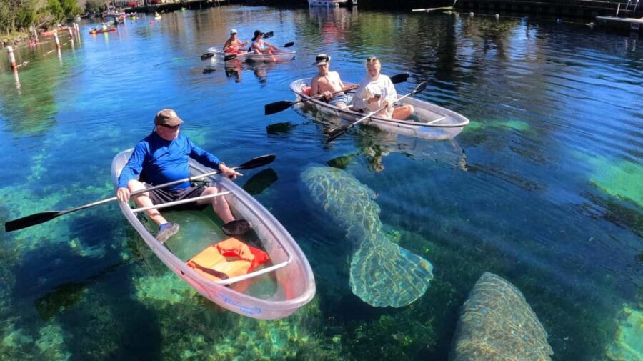 Crystal River: Clear Kayak Sunset & Night Glow Tour - Value and Practicalities