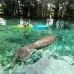 Crystal River Kayak RentalThree Sisters Springs & Manatee Refuge - Practical Tips