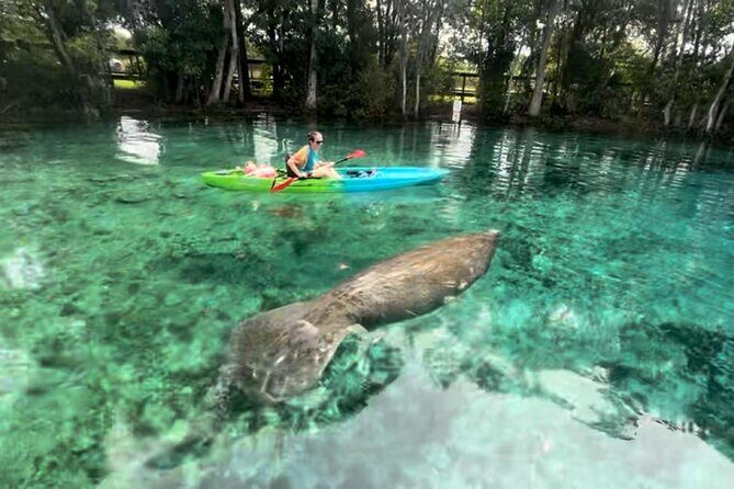 Crystal River Kayak RentalThree Sisters Springs & Manatee Refuge - Practical Tips