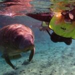Crystal River: Manatee Swim Small Group, VIP or Private Tour - The Practicalities: What to Know Before You Go