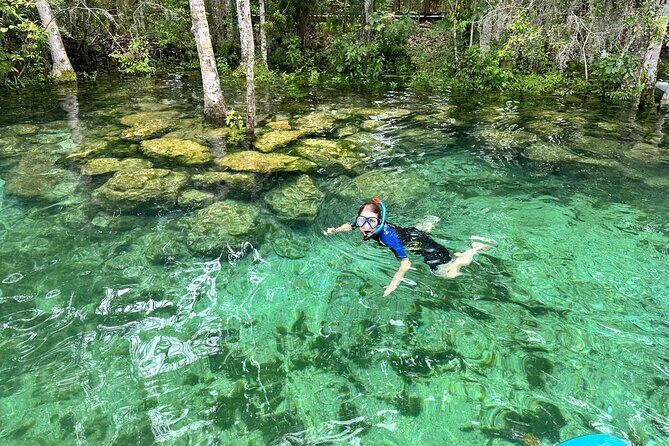 Crystal River Manatee Swim Tour Choose Your Kayak Paddleboard - In-Depth Look at the Experience