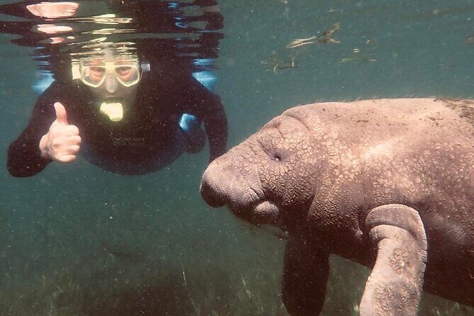 Crystal River - Private Manatee Snorkel Tour - Why This Tour Stands Out