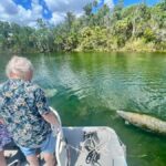 Crystal River: Small-Group Manatee Snorkeling Tour - The Itinerary and Experience