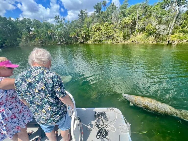 Crystal River: Small-Group Manatee Snorkeling Tour - The Itinerary and Experience