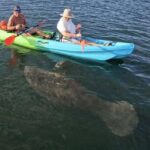 Crystal River: Sunset Kayak with Manatee Viewing Experience - What Happens During the Tour?