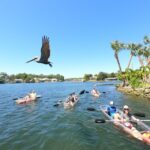 Crystal River: Three Sisters Springs Eco Tour by Clear Kayak - Who Will Love This Tour?