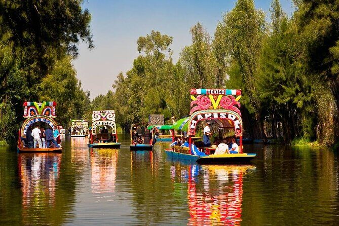 Cuicuilco Ruins, Xochimilco Boat Ride & Diego Rivera Museum. - Practical Details and What to Expect