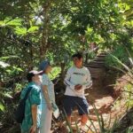 Cultural Immersion in Cacao and Coffee in the Southern Sierra of Oaxaca - Exploring Santa María Huatulco: A Colorful Introduction