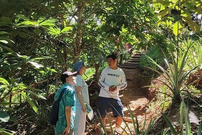 Cultural Immersion in Cacao and Coffee in the Southern Sierra of Oaxaca - Exploring Santa María Huatulco: A Colorful Introduction