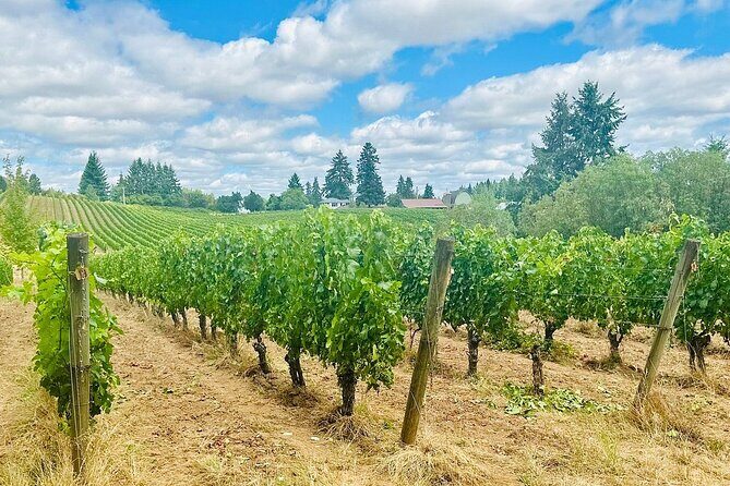 Curated Wine Country Experiences Full Day Tour - What We Love About This Tour