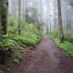 Custom Hiking in the Lions Desert - Analyzing the Value