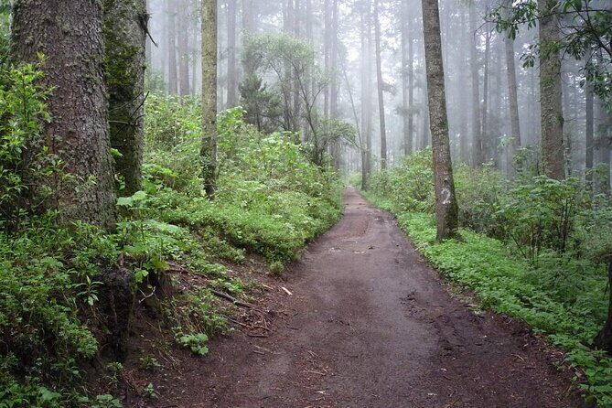 Custom Hiking in the Lions Desert - Analyzing the Value