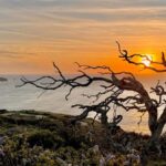 CUSTOM PHOTO ADVENTURES TO THE BAY AREA'S MOST EPIC SCENERY - An Introduction to the Experience