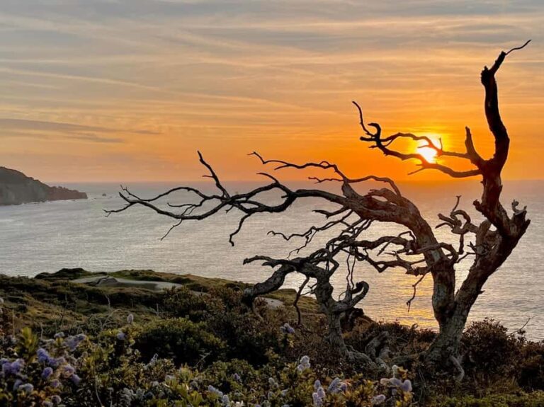 CUSTOM PHOTO ADVENTURES TO THE BAY AREA'S MOST EPIC SCENERY - An Introduction to the Experience