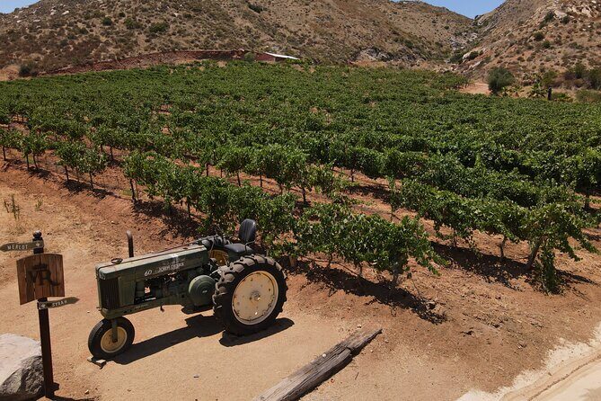 Customizable Guadalupe Wine Valley Tour - Authentic Insights from Reviews