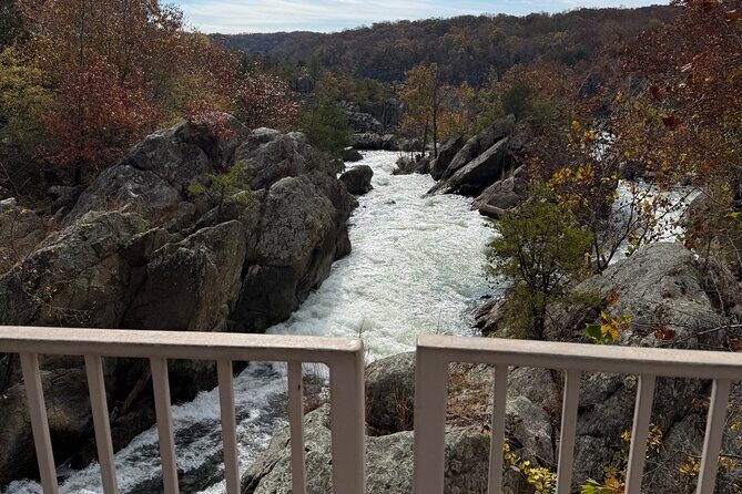 Customizable Guided Express Luxury Tours in Washington DC - What to Expect from the Itinerary