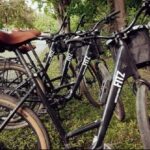 Daily Montreal Bike Rental- Be your own guide in Montreal - Key Points