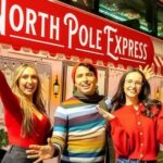 Dallas: Holiday Lights Tour Highland Park - Who Should Consider This Tour?