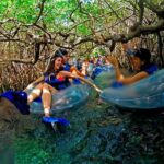 Day Adventure at Xelha + Tulum! From Cancun & Playa Del Carmen - Practical Details: Transportation and Timing