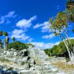 Day at Cancun City Tour! Mayan Ruins With Round Transportation - Practical Details and What They Mean for You