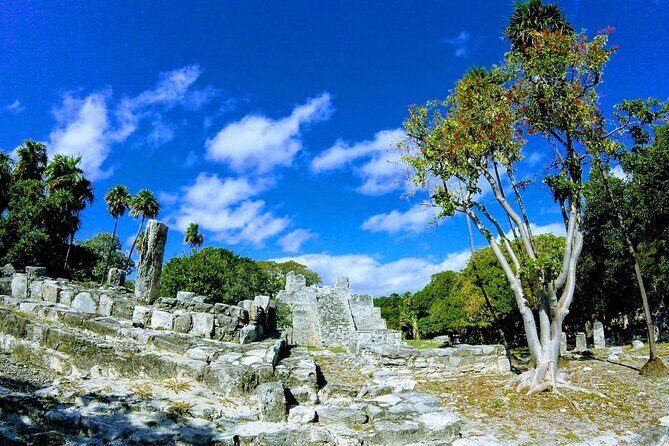 Day at Cancun City Tour! Mayan Ruins With Round Transportation - Practical Details and What They Mean for You