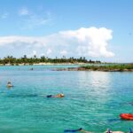 Day Tour at Yalku Inlet and 2 Cenotes From Tulum - The Experience: Pros and Cons
