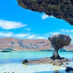 Day trip excursion to La Paz BCS & Balandra beach - A Closer Look at the Itinerary