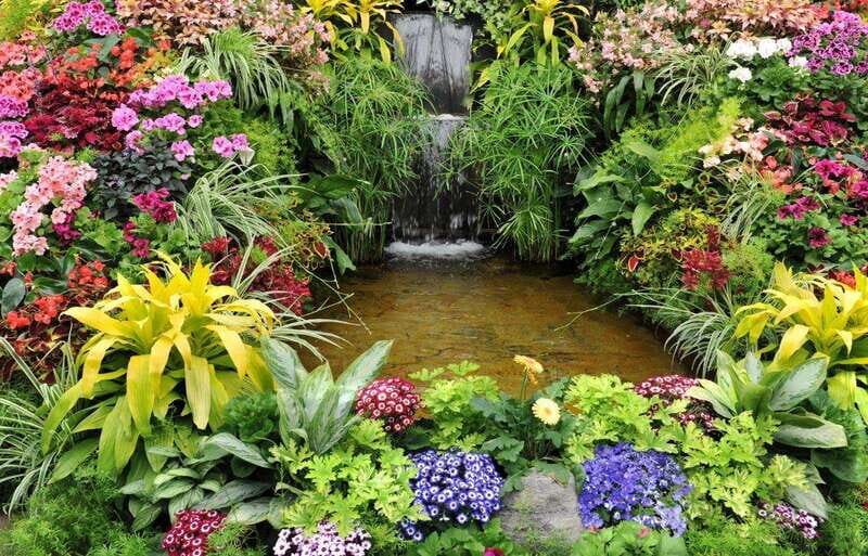 Day Trip from Vancouver to Victoria and Butchart Gardens - The Value of the Tour