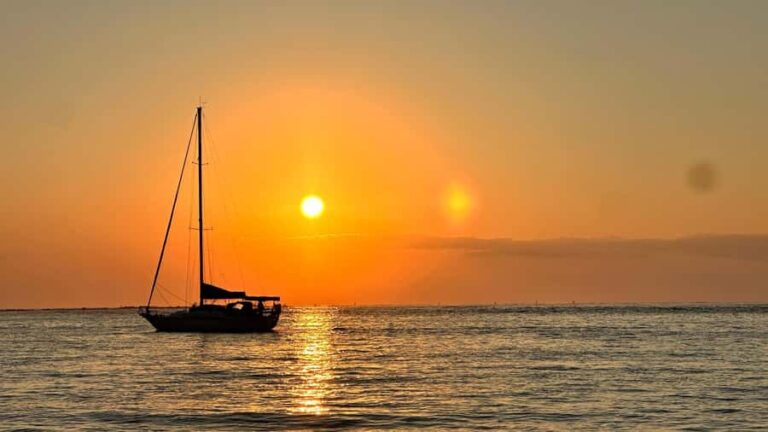 Daytona Beach: Sunrise Cruise on the Atlantic Ocean - Who Will Love This Tour?