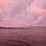 Daytona Beach: Sunset River Cruise with Dolphin Watching - Who Will Love This Tour?