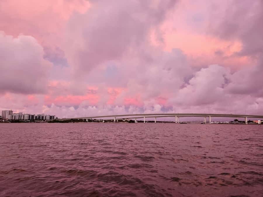 Daytona Beach: Sunset River Cruise with Dolphin Watching - Who Will Love This Tour?