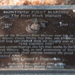 DC: Arlington National Cemetery Guided Walking Tour - The Value of a Guided Experience at Arlington