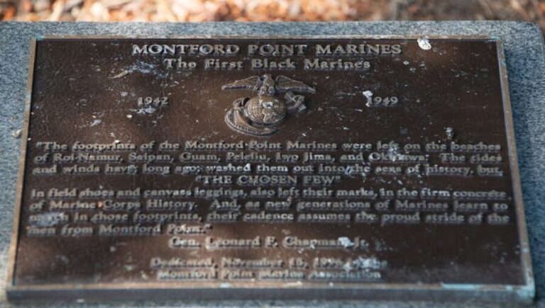 DC: Arlington National Cemetery Guided Walking Tour - The Value of a Guided Experience at Arlington