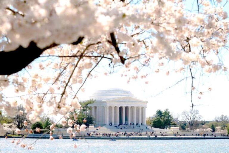 DC Cherry Blossom Guided Tour with Tidal Basin & Monuments - What Travelers Say: Authentic Perspectives