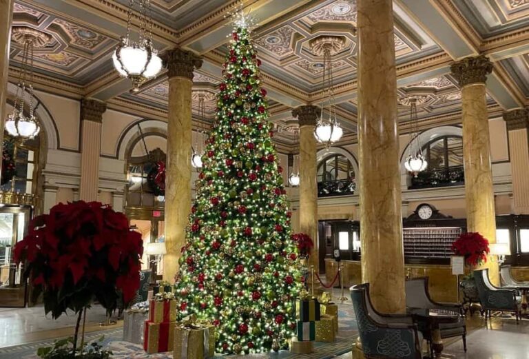 DC: Downtown Ultimate Holiday Walking Tour with Hot Cocoa - Practical Tips for Your Visit