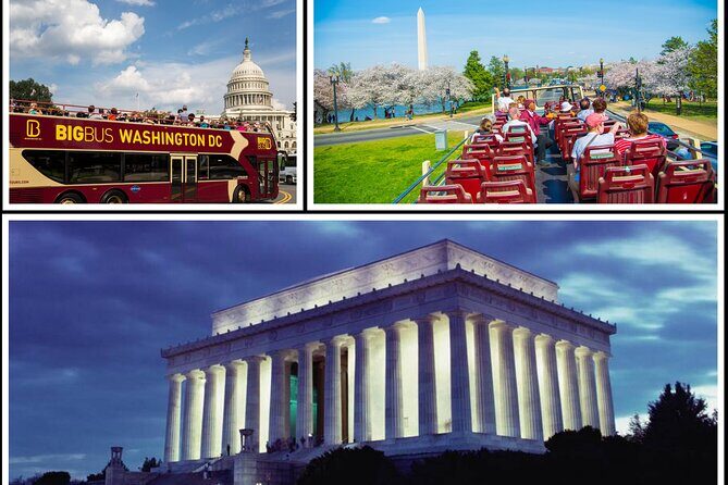 DC: Hop-on Hop-off Bus, Arlington Walking Tour, and Night Tour - Breaking Down the Itinerary and Experience